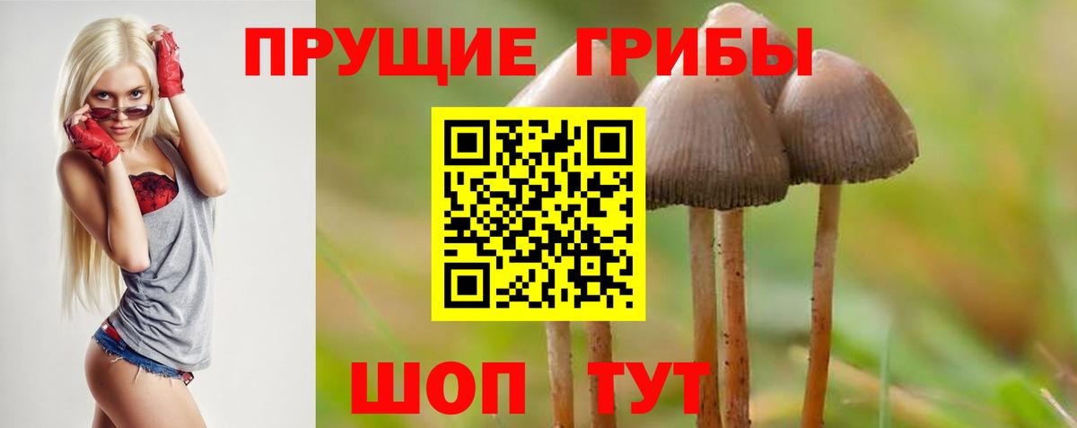 Псилоцибиновые грибы Magic Shrooms Лысьва